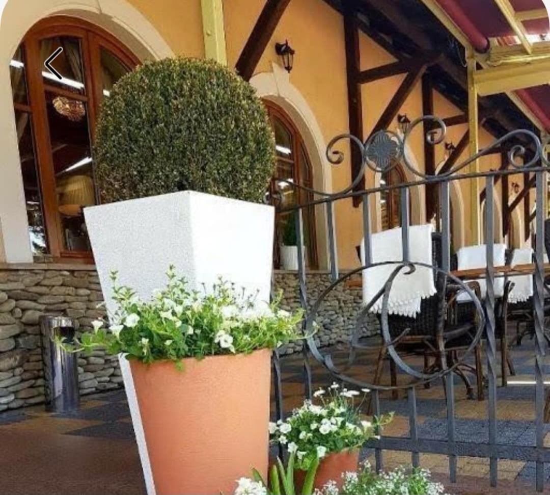 U Pietrzaków Zielonka (Wolomin) Exterior foto